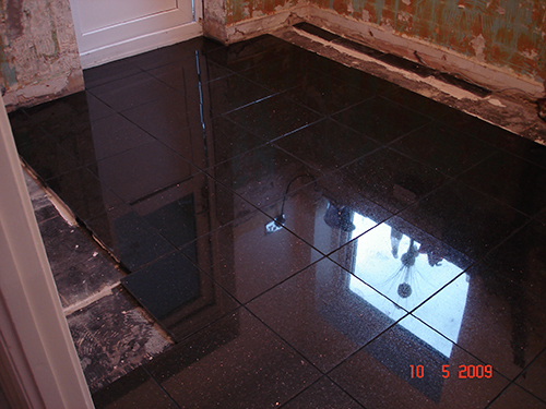 WE MADE THE MISTAKE OF PUTTING SHINY GRANIT TILES ON OUR KITCHEN FLOOR, CAN'TKEEP THEM CLEAN - PUT VINYL OVER THE TOP NOW
